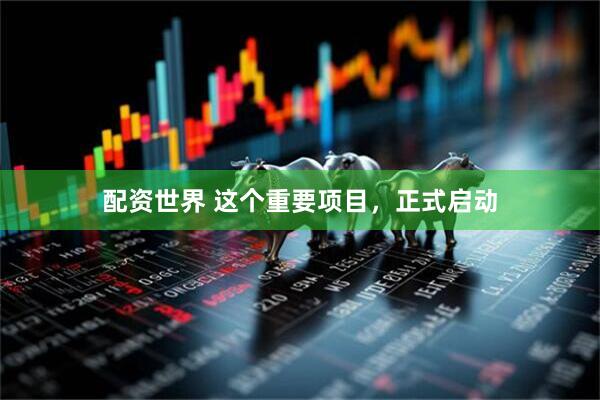 配资世界 这个重要项目，正式启动