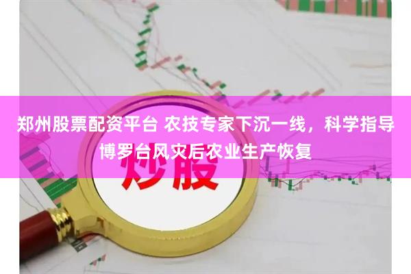 郑州股票配资平台 农技专家下沉一线，科学指导博罗台风灾后农业生产恢复